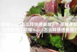 荣耀Magic 2怎么样快速截屏？？荣耀手机怎样截屏「荣耀Magic 2怎么样快速截屏？？」
