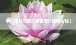 手机图片隐藏（手机图片隐藏功能）
