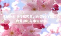 揭秘小红书代写现象，内容创作背后的商业驱动与市场需求