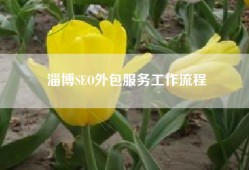 淄博SEO外包服务工作流程