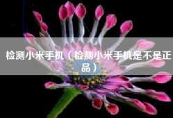 检测小米手机（检测小米手机是不是正品）
