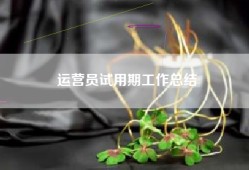 运营员试用期工作总结