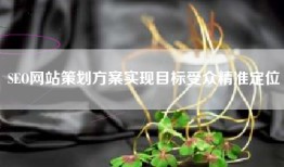 SEO网站策划方案实现目标受众精准定位
