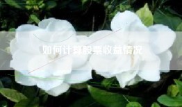 如何计算股票收益情况