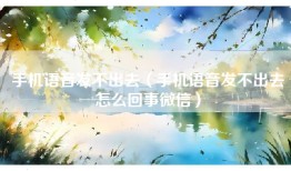 手机语音发不出去（手机语音发不出去怎么回事微信）