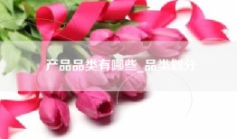 产品品类有哪些_品类划分