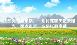 成都突发凶杀案！一则讨薪聊天记录曝光，疑点重重，或是张冠李戴