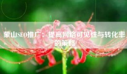 蒙山SEO推广：提高网络可见性与转化率的策略