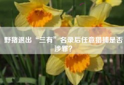 野猪退出“三有”名录后任意猎捕是否涉罪？