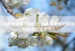 手机充电慢的原因（手机充电慢的原因和解决方法华为）