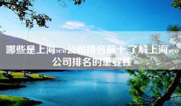 哪些是上海seo公司排名前十,了解上海seo公司排名的重要性