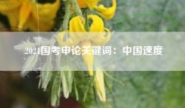 2021国考申论关键词：中国速度