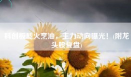 科创板烈火烹油，主力动向曝光！(附龙头股复盘)