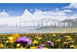 没有手机的坏处（没有手机好处）