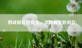 西咸新区管委会、文旅局文职岗位