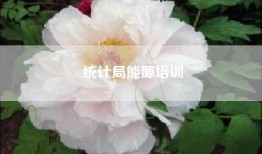 统计局能源培训