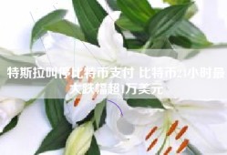 特斯拉叫停比特币支付 比特币24小时最大跌幅超1万美元