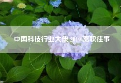 中国科技行业大佬 2019 离职往事