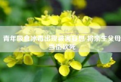 青年吸食出现被害妄想 将亲生父母当街砍死