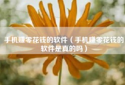 手机赚零花钱的软件（手机赚零花钱的软件是真的吗）