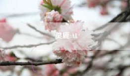 灵鹿 AI
