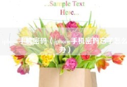 iphone手机密码（iphone手机密码忘了怎么办）