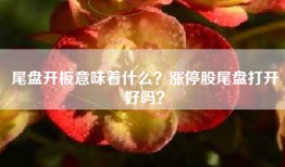尾盘开板意味着什么？涨停股尾盘打开好吗？