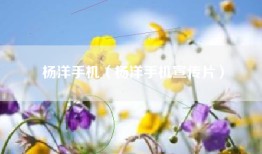 杨洋手机（杨洋手机宣传片）