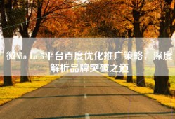 微Xia La 5平台百度优化推广策略，深度解析品牌突破之道