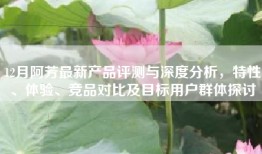 12月阿芳最新产品评测与深度分析，特性、体验、竞品对比及目标用户群体探讨
