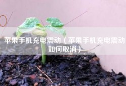 苹果手机充电震动（苹果手机充电震动如何取消）