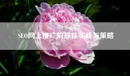 SEO网上推广的最佳实践与策略