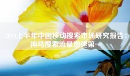 2019上半年中国移动搜索市场研究报告：神马搜索流量增速第一
