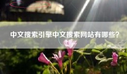 中文搜索引擎中文搜索网站有哪些？