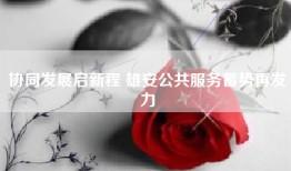 协同发展启新程 雄安公共服务蓄势再发力
