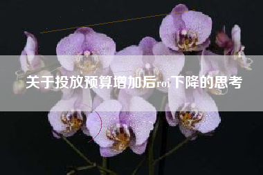 关于投放预算增加后roi下降的思考