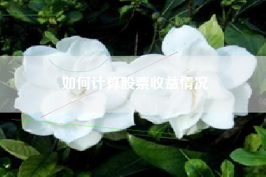 如何计算股票收益情况