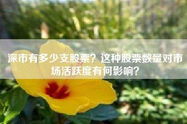 深市有多少支股票？这种股票数量对市场活跃度有何影响？