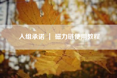 入组承诺 ｜ 磁力链使用教程