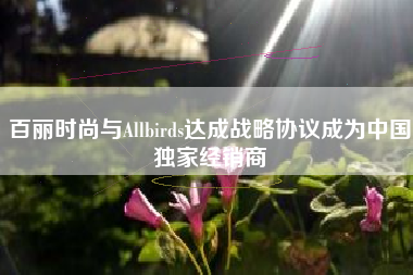 百丽时尚与Allbirds达成战略协议成为中国独家经销商