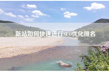 新站如何快速进行SEO优化排名