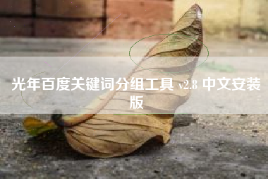 光年百度关键词分组工具 v2.8 中文安装版