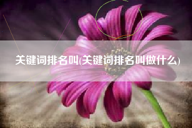 关键词排名叫(关键词排名叫做什么)