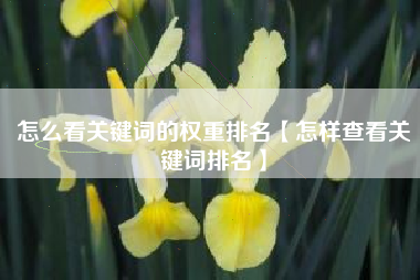 怎么看关键词的权重排名【怎样查看关键词排名】