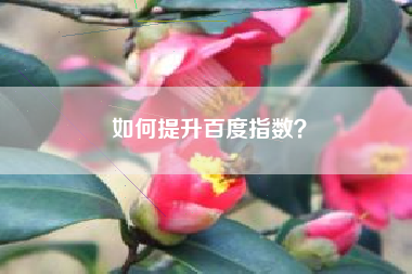 如何提升百度指数？