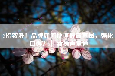 3招致胜！品牌如何快速提高声量，强化口碑？｜ 新榜声量通