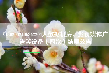 Z1302002406862204大数据机房、影视媒体广告等设备（四次）结果公告