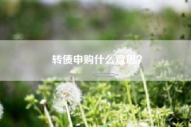 转债申购什么意思？