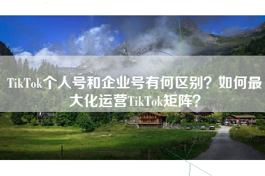 TikTok个人号和企业号有何区别?如何最大化运营TikTok矩阵? TikTok个人号和企业号有何区别?如何最大化运营TikTok矩阵?