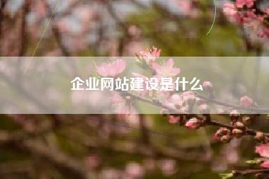 企业网站建设是什么